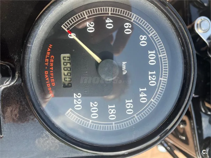 Harley-Davidson Bad Boy 1300 – Vista 5