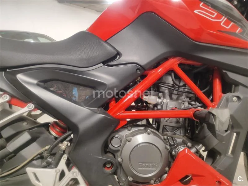 Benelli BN 251 – Vista 9