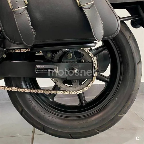 UM Renegade Sport – Vista 12