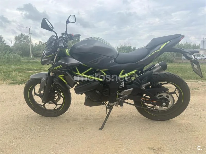 Kawasaki Z 125 – Vista 2