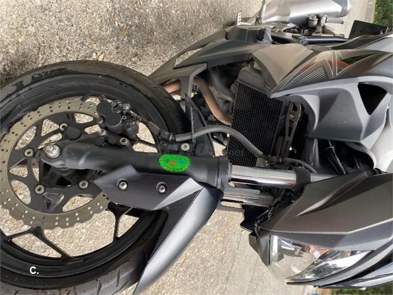 Kawasaki Z 300 – Vista 2