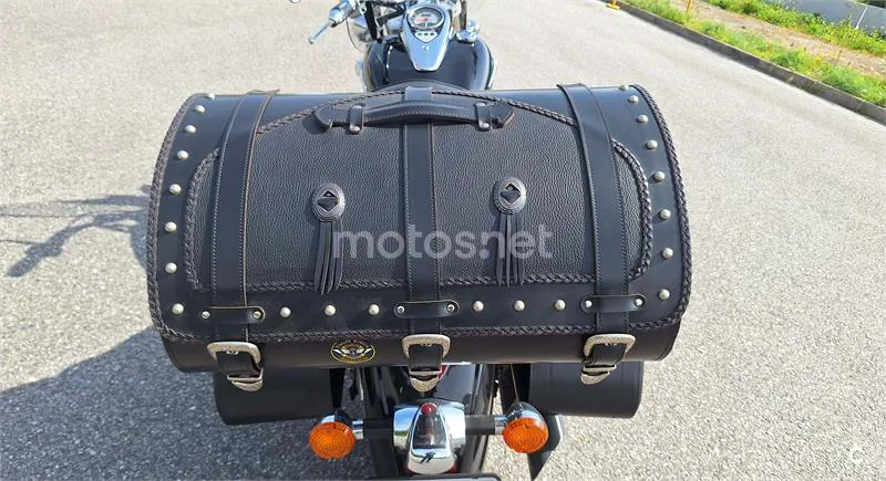 Kawasaki VN 900 Classic – Vista 6