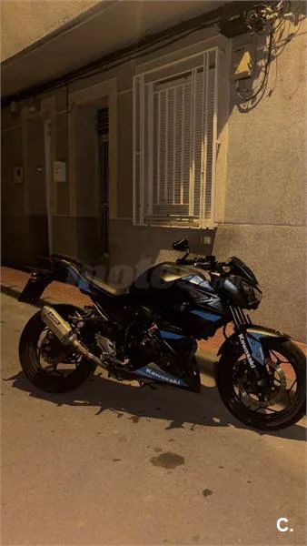 Kawasaki Z 300 – Vista 3