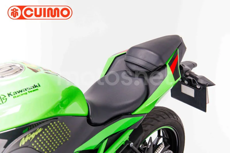 Kawasaki Ninja 125 – Vista 23