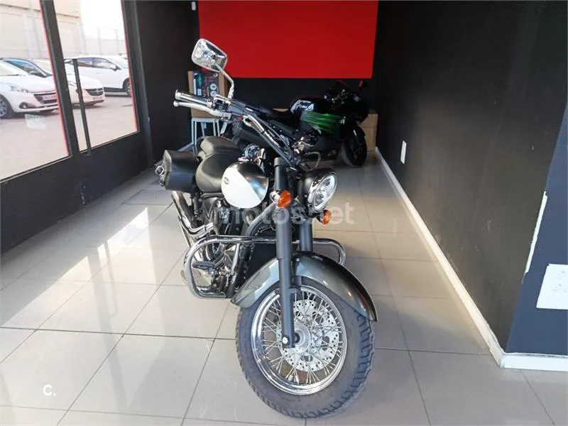 Kawasaki VN 900 Classic – Vista 5