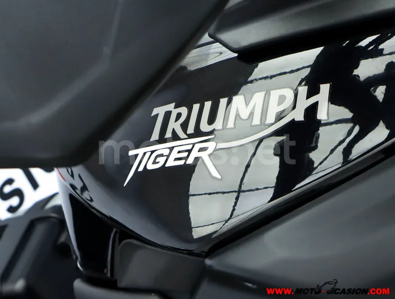 Triumph Tiger 800 – Vista 8