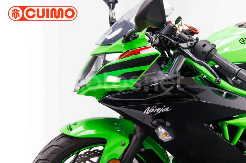 Kawasaki Ninja 125 – Vista 20