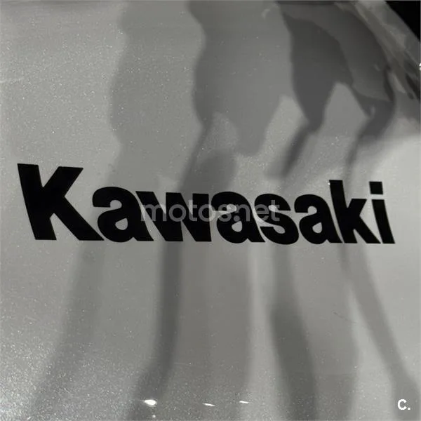 Kawasaki Z1000 – Vista 10