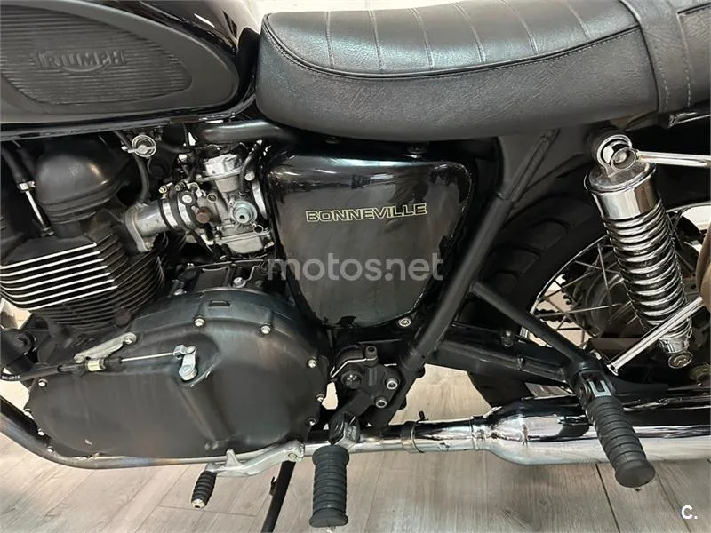 Triumph America – Vista 3