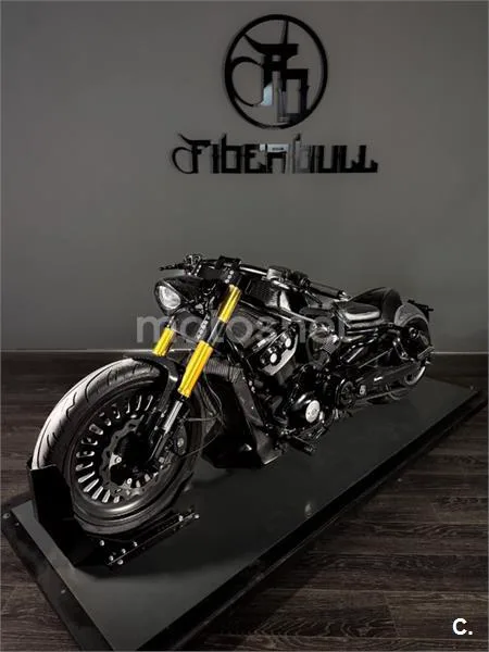 Harley-Davidson Night Rod – Vista 11