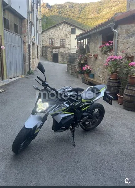 Kawasaki Z 125 – Vista 2