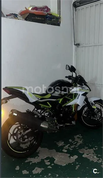 Kawasaki Z 125 – Vista 5