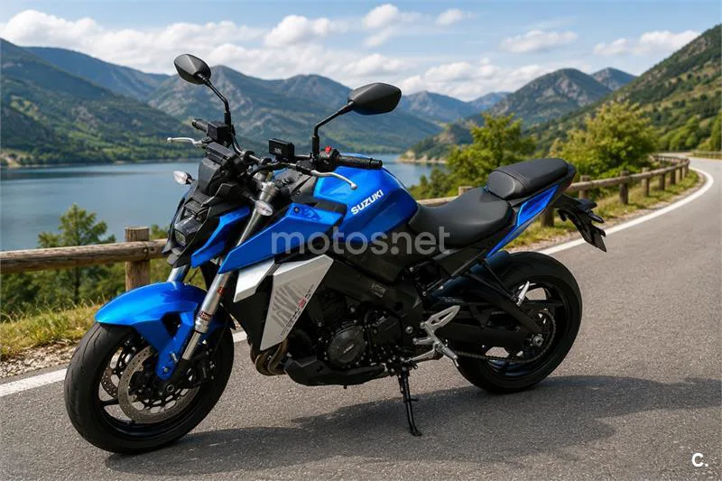 Suzuki GSX-S – Vista 2