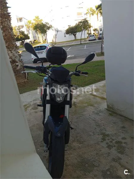Benelli BKX 300 – Vista 3
