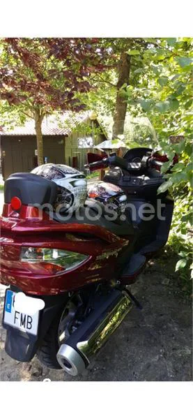 Suzuki Burgman 400 – Vista 9