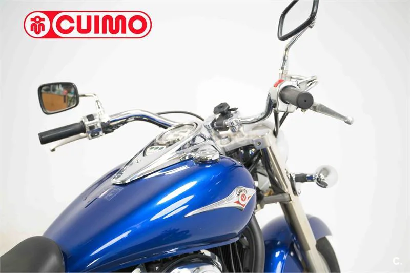 Kawasaki VN 900 Classic – Vista 15