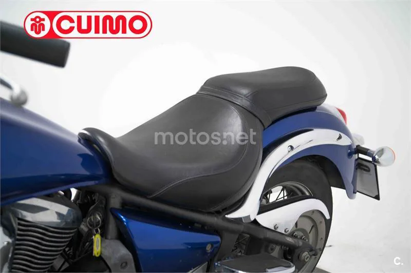 Kawasaki VN 900 Classic – Vista 23