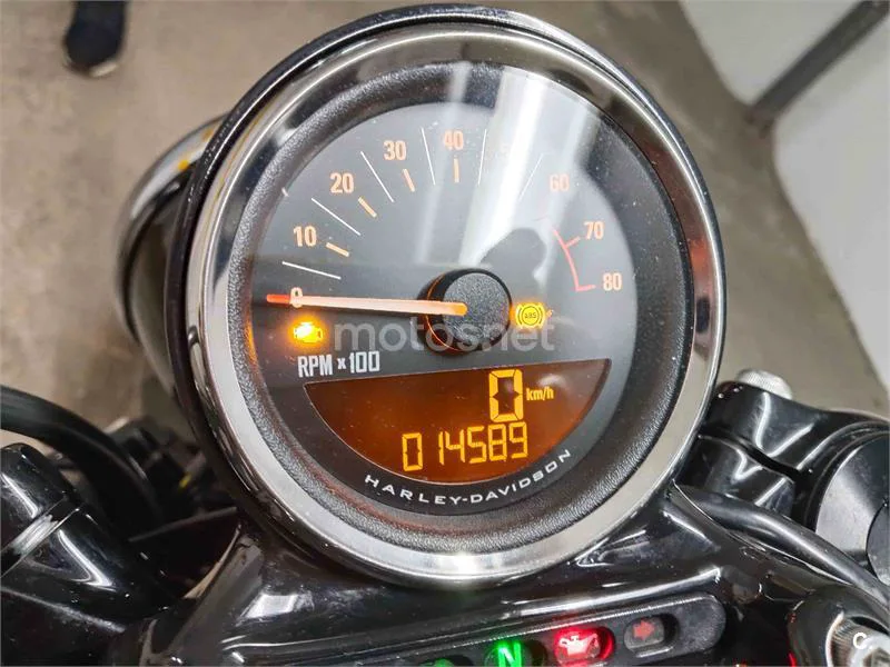 Harley-Davidson Sportster 1200 - Vista 9