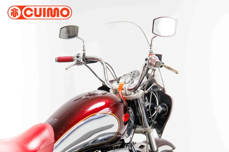 Moto Guzzi California 1100 – Vista 15