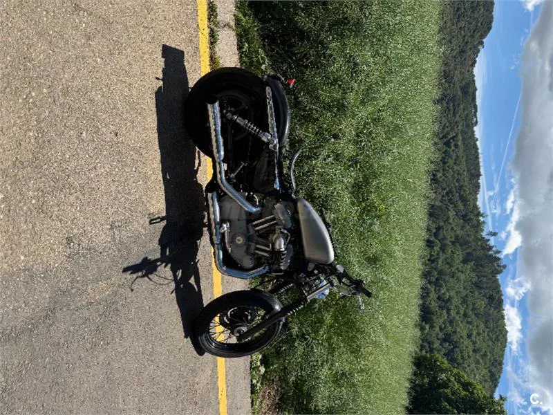 Harley-Davidson Sportster 883 – Vista 6
