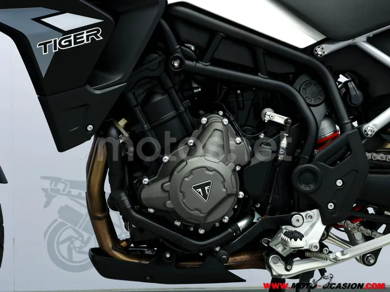 Triumph Tiger 900 - Vista 9