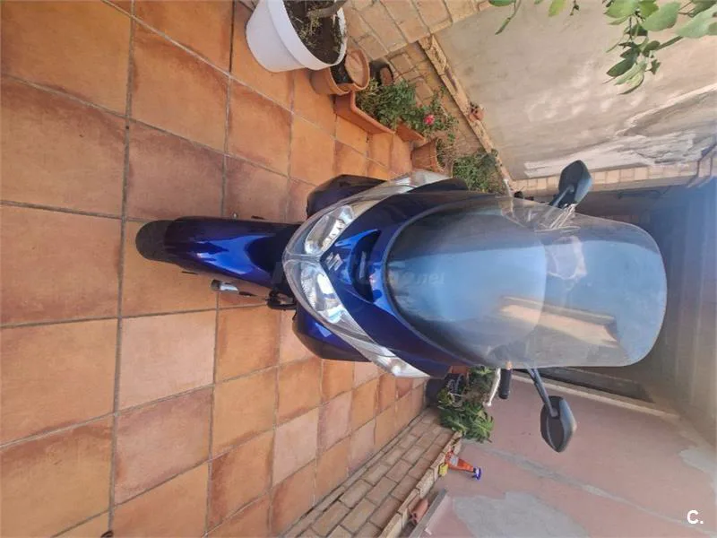 Suzuki Burgman 250 - Vista 3