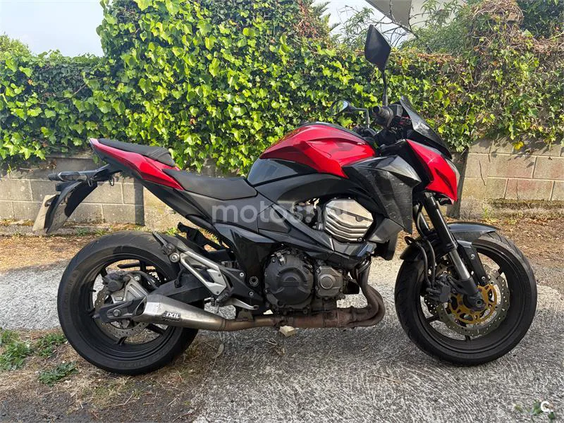 Kawasaki Z 800e – Vista 2