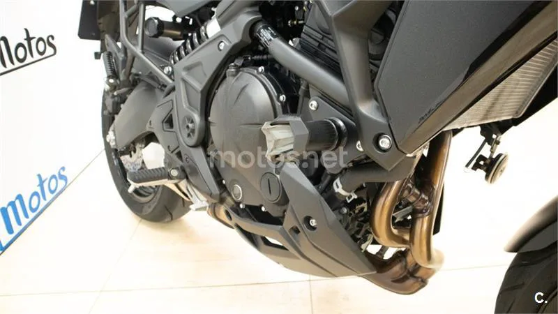 Kawasaki Versys – Vista 17