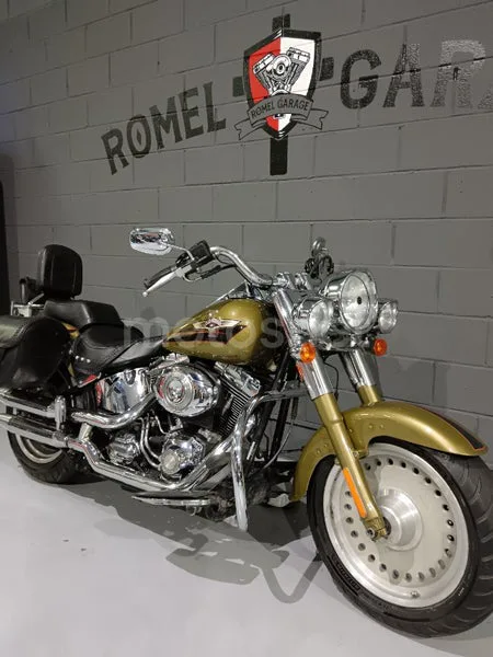 Harley-Davidson Fat Boy - Vista 11