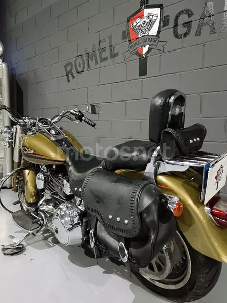Harley-Davidson Fat Boy - Vista 13