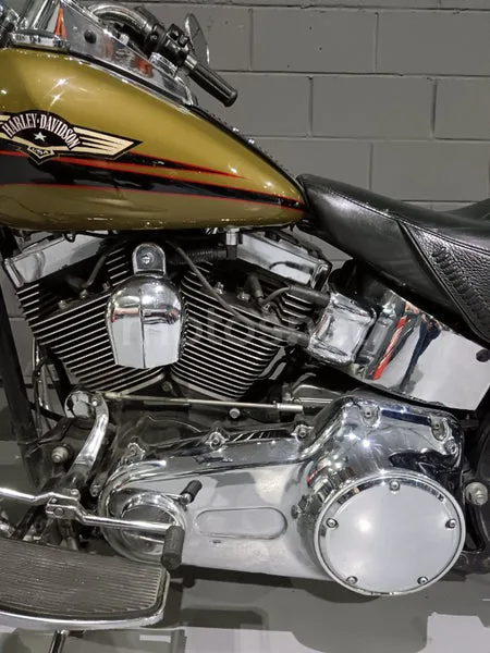 Harley-Davidson Fat Boy - Vista 4