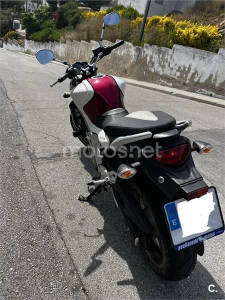 Suzuki SFV 650 Gladius – Vista 4