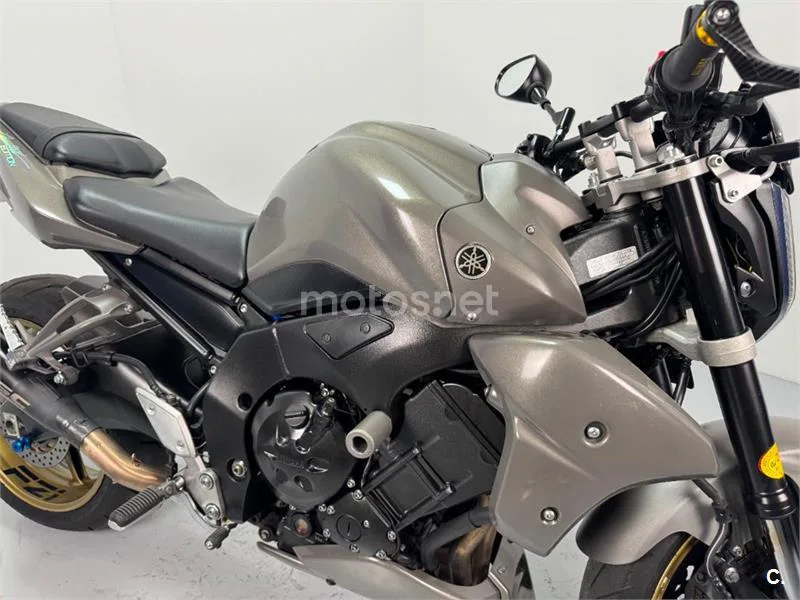 Yamaha FZ1 – Vista 15