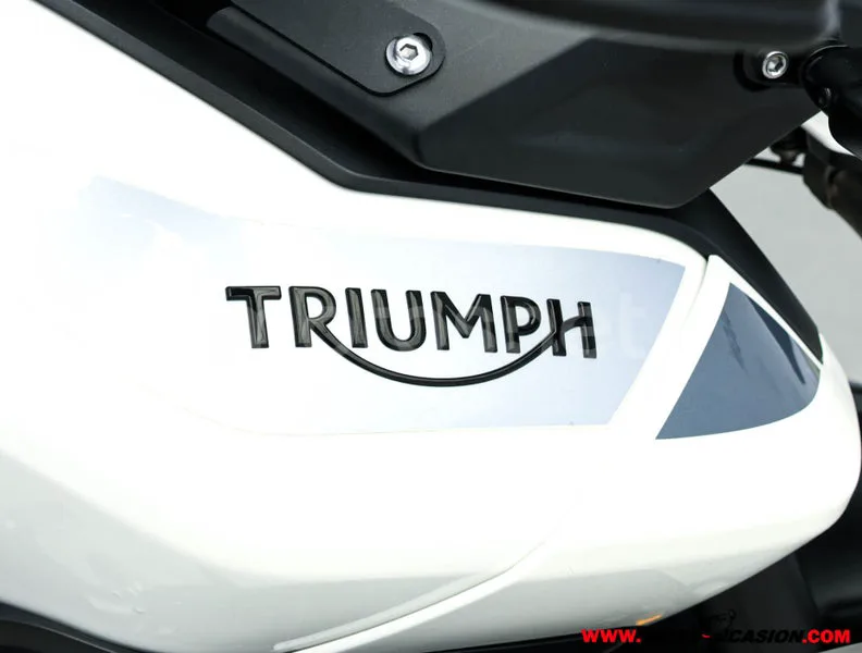 Triumph Tiger 900 – Vista 8