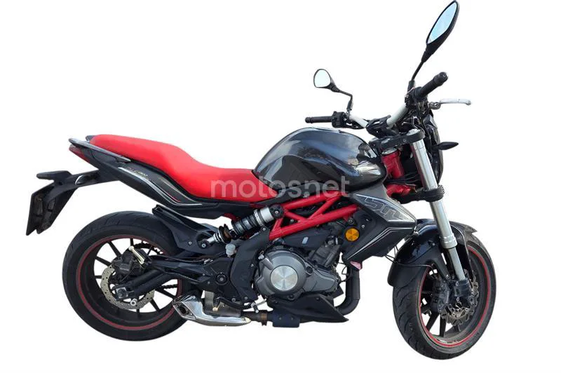 Benelli BN 302 – Vista 2