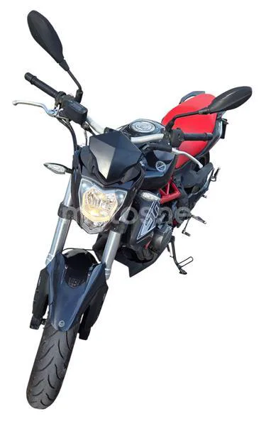 Benelli BN 302 – Vista 4