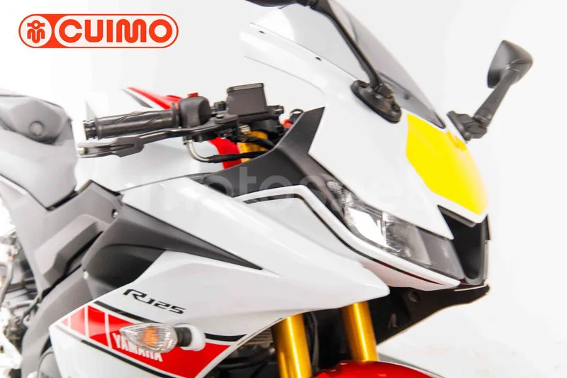 Yamaha R125 – Vista 11