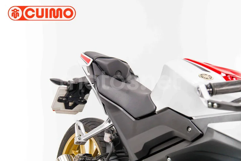Yamaha R125 – Vista 12