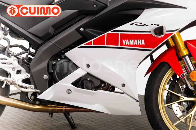 Yamaha R125 – Vista 13