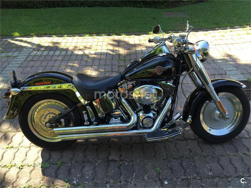 Harley-Davidson Fat Boy – Vista 2