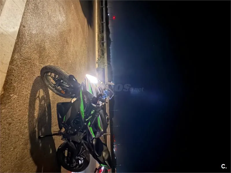 Kawasaki Ninja 125 – Vista 2