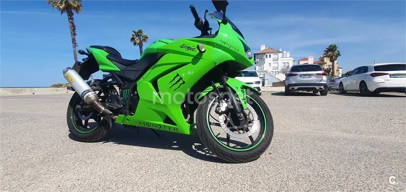 Kawasaki Ninja 250 R – Vista 2