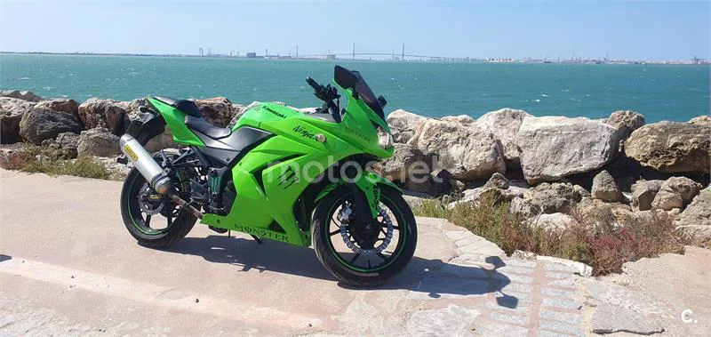 Kawasaki Ninja 250 R – Vista 5