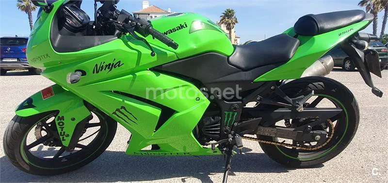 Kawasaki Ninja 250 R – Vista 7