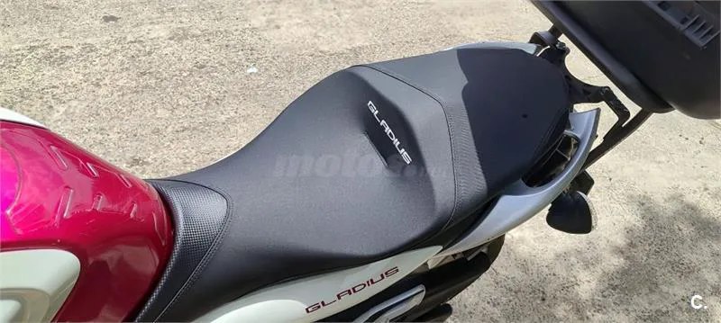 Suzuki SFV 650 Gladius – Vista 4