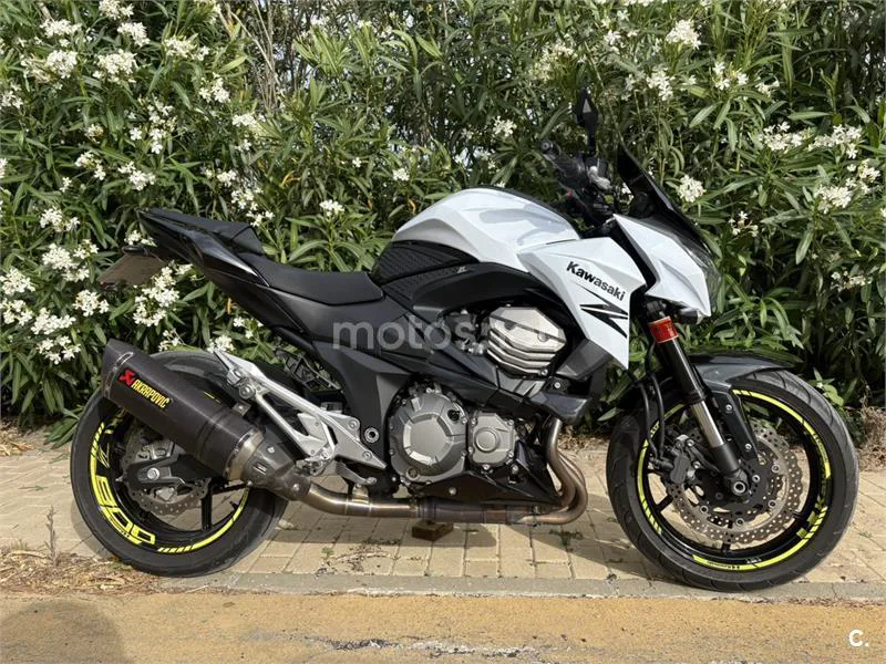 Kawasaki Z800 – Vista 9
