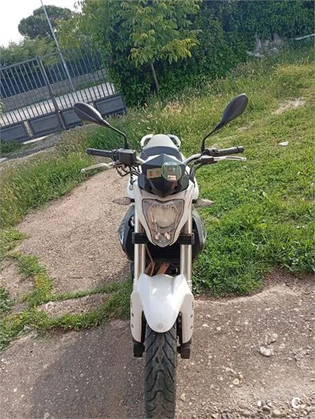 Benelli BN 302 – Vista 2