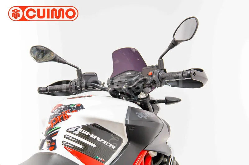 Aprilia Shiver 900 – Vista 15