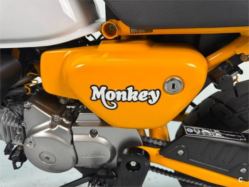 Honda Monkey 125 – Vista 8