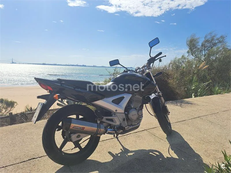 Honda CBF250 - Vista 4